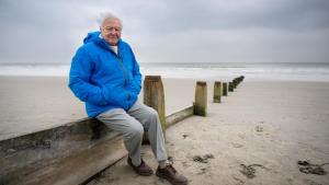 Ocean with David Attenborough photo