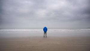 Ocean with David Attenborough photo