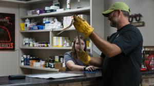Heartland Docs, DVM photo