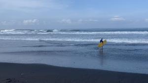 Bitten in Bali photo