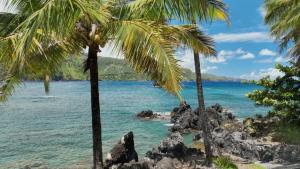 Maui Mayhem photo