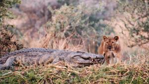 Katavi - Africa's Fallen Paradise photo
