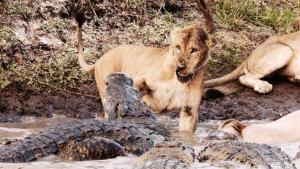 Katavi - Africa's Fallen Paradise photo