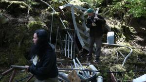 Loading for Bear photo