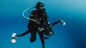 Photographer: Paul Nicklen & Cristina Mittermeier: Win or Die photo