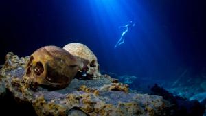 Photographer: Paul Nicklen & Cristina Mittermeier: Win or Die photo