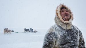 Photographer: Paul Nicklen & Cristina Mittermeier: Win or Die photo