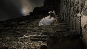 Photographer: Anand Varma: Hidden Wonders photo