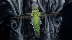Photographer: Anand Varma: Hidden Wonders photo