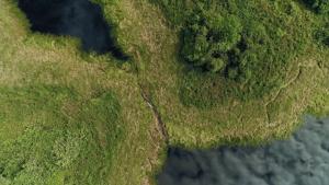 Lost Lake Dinosaur photo