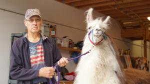 No Horsing Around photo