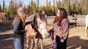 No Horsing Around photo