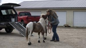 A Mom Like No Udder photo
