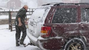 The Snow Must Go On photo