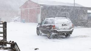 The Snow Must Go On photo