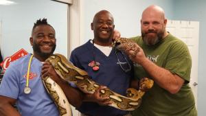 Critter Fixers: Country Vets: 2024 Reptile photo