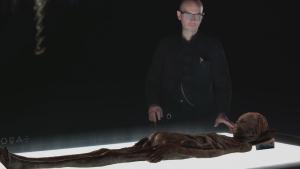Strangest Things Gallery photo
