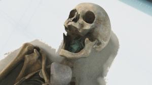 Strangest Things Gallery photo
