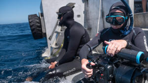 Gallery Season 1 photo