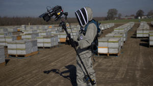 Gallery Season 1 photo