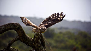 Strangest Nature photo