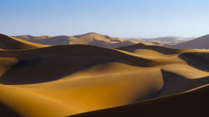Africa Earth's Wild Home gallery photo