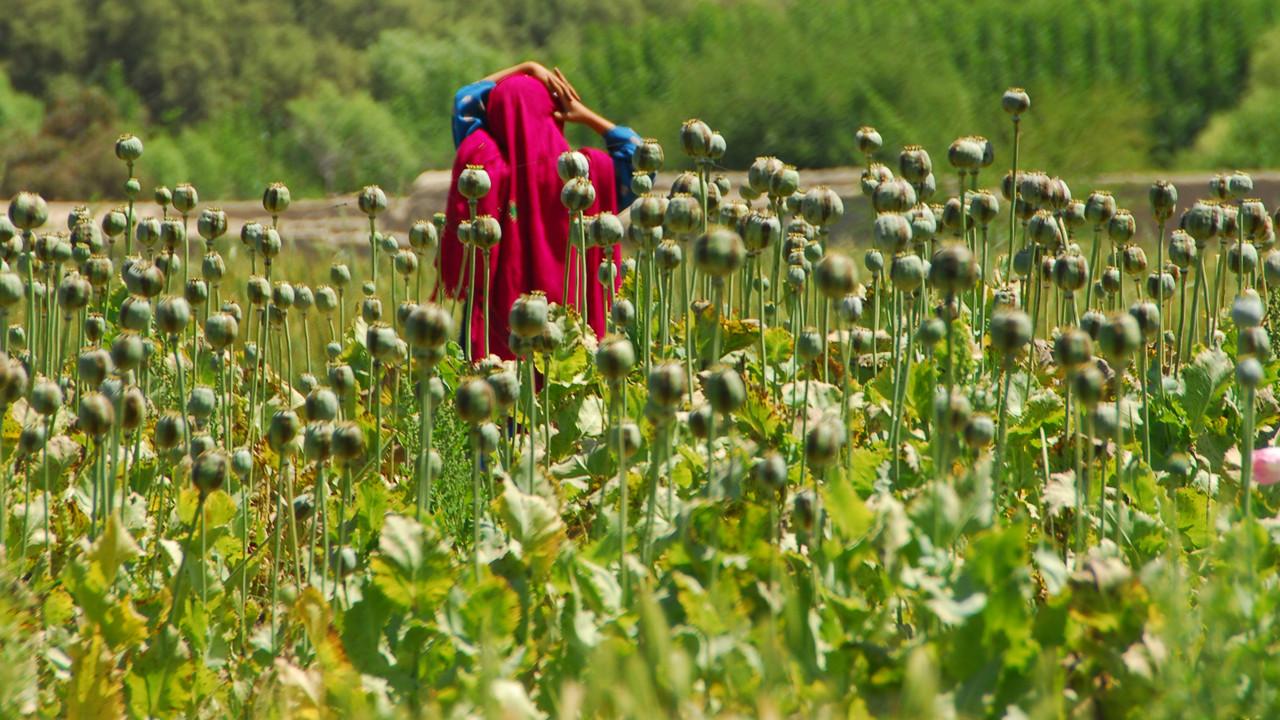 https://assets-natgeotv.techops.disn.io/ShowHubs/102.jpg