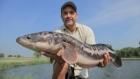 Monster Fish: Jungle Jaws