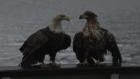 Destination Wild: The Desert Sea - Going To...