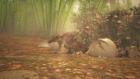 Hunting Alaskan Dinosaurs: Episode 1
