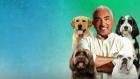 Cesar Millan: Better Human Better Dog