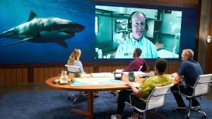 Investigation Shark Attack