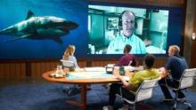 Investigation Shark Attack show