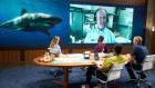 Investigation Shark Attack: Tigers in Hawaii