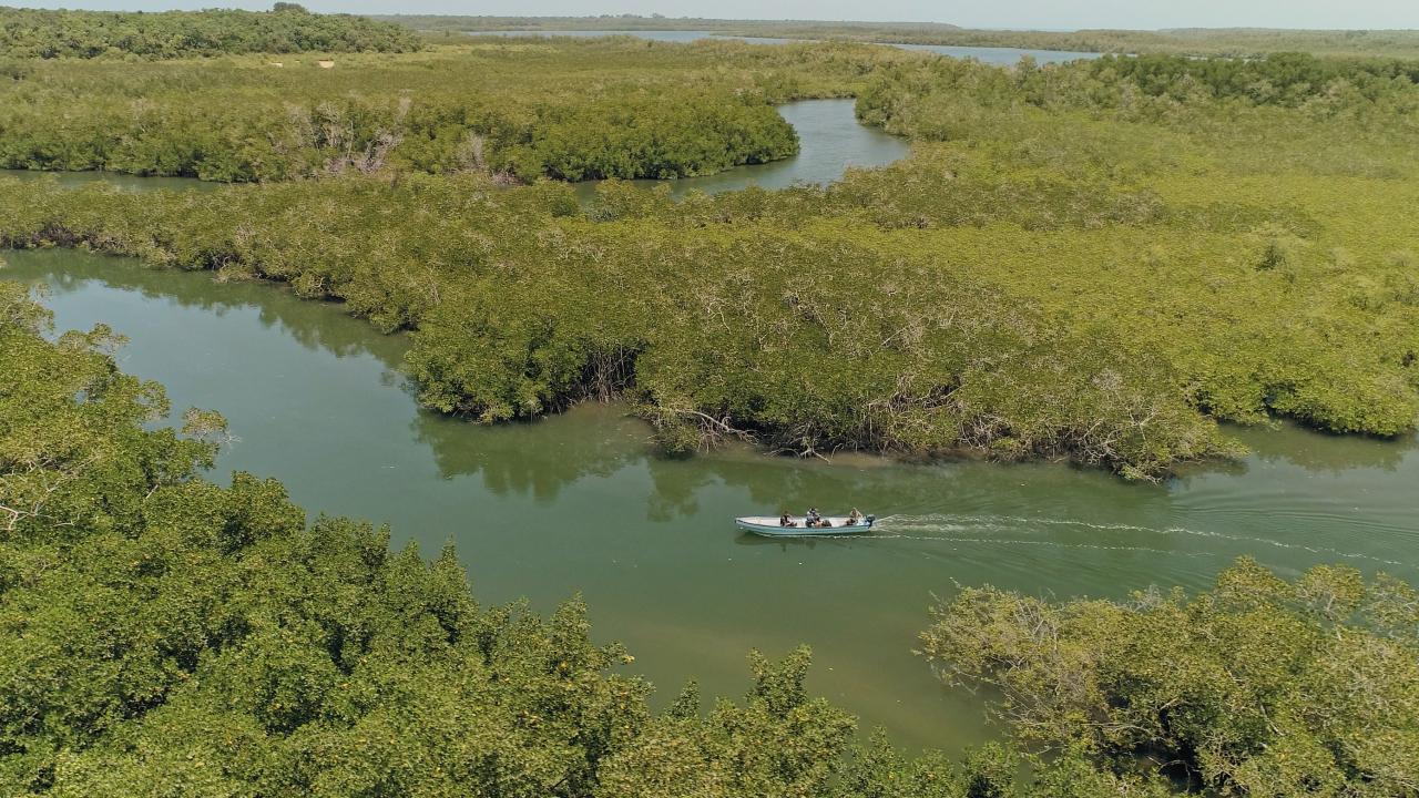 https://assets-natgeotv.techops.disn.io/Shows/92179.jpg