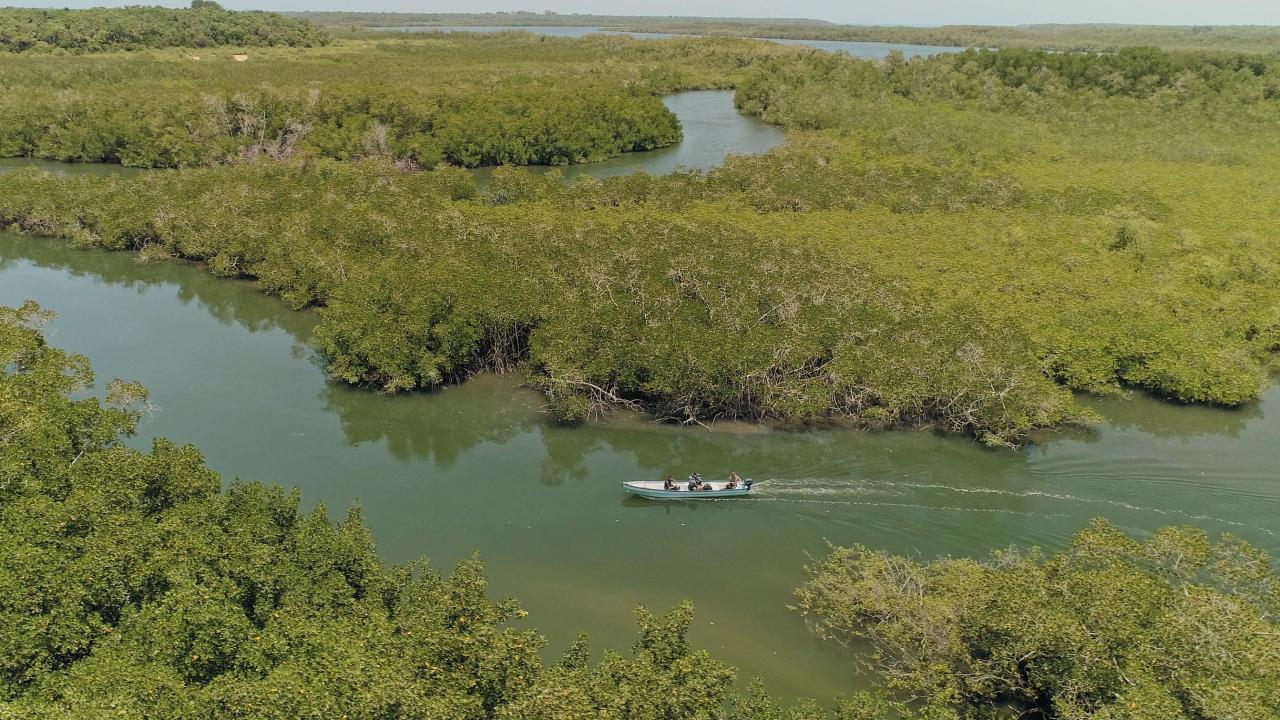 https://assets-natgeotv.techops.disn.io/Shows/92180.jpg