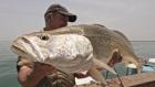 Last of The Giants: Wild Fish