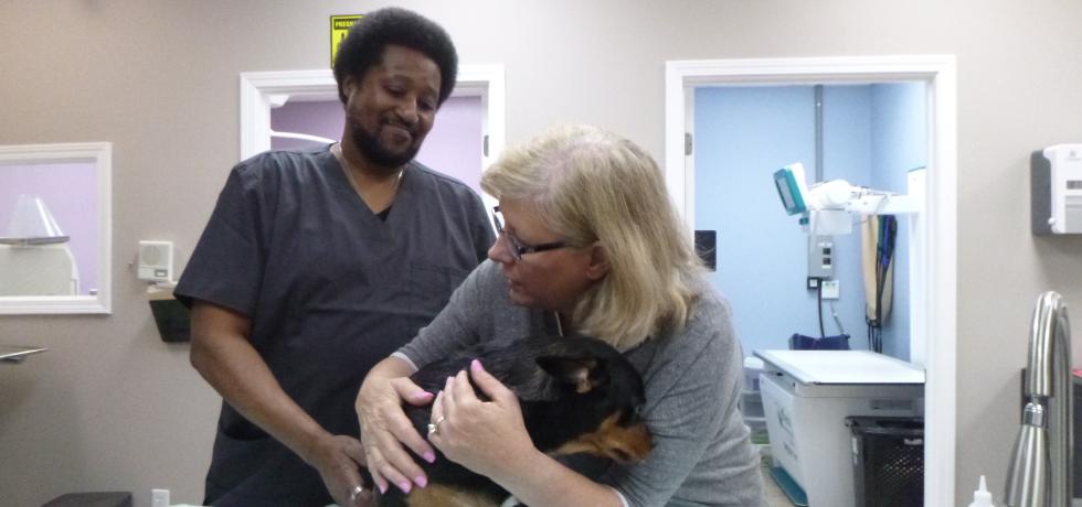 Critter Fixers: Country Vets