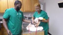 Critter Fixers: Country Vets show