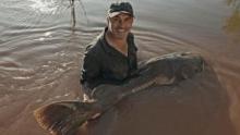Last of The Giants: Wild Fish show