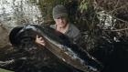 Last of The Giants: Wild Fish: Lost Lake Dinosaur