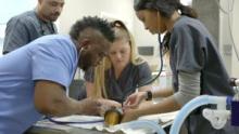 Critter Fixers: Country Vets show