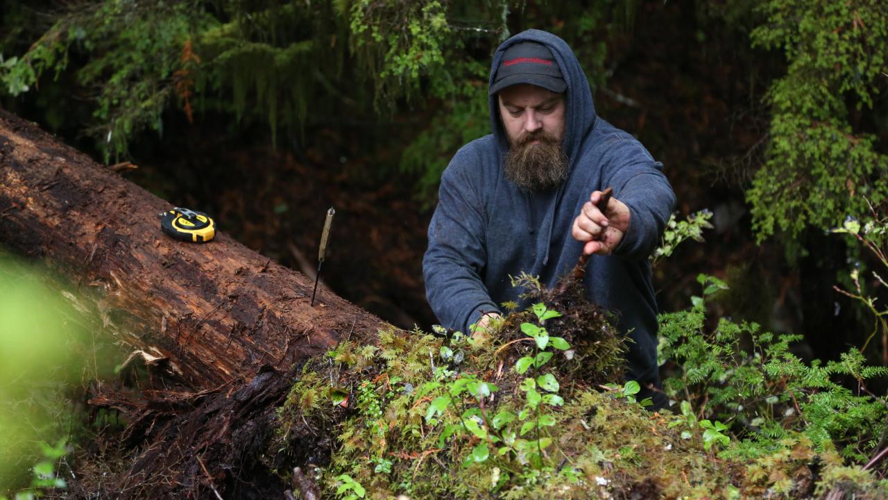 https://assets-natgeotv.techops.disn.io/Shows/92466.jpg