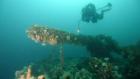 Mysterious Islands: Lost Endeavour Island