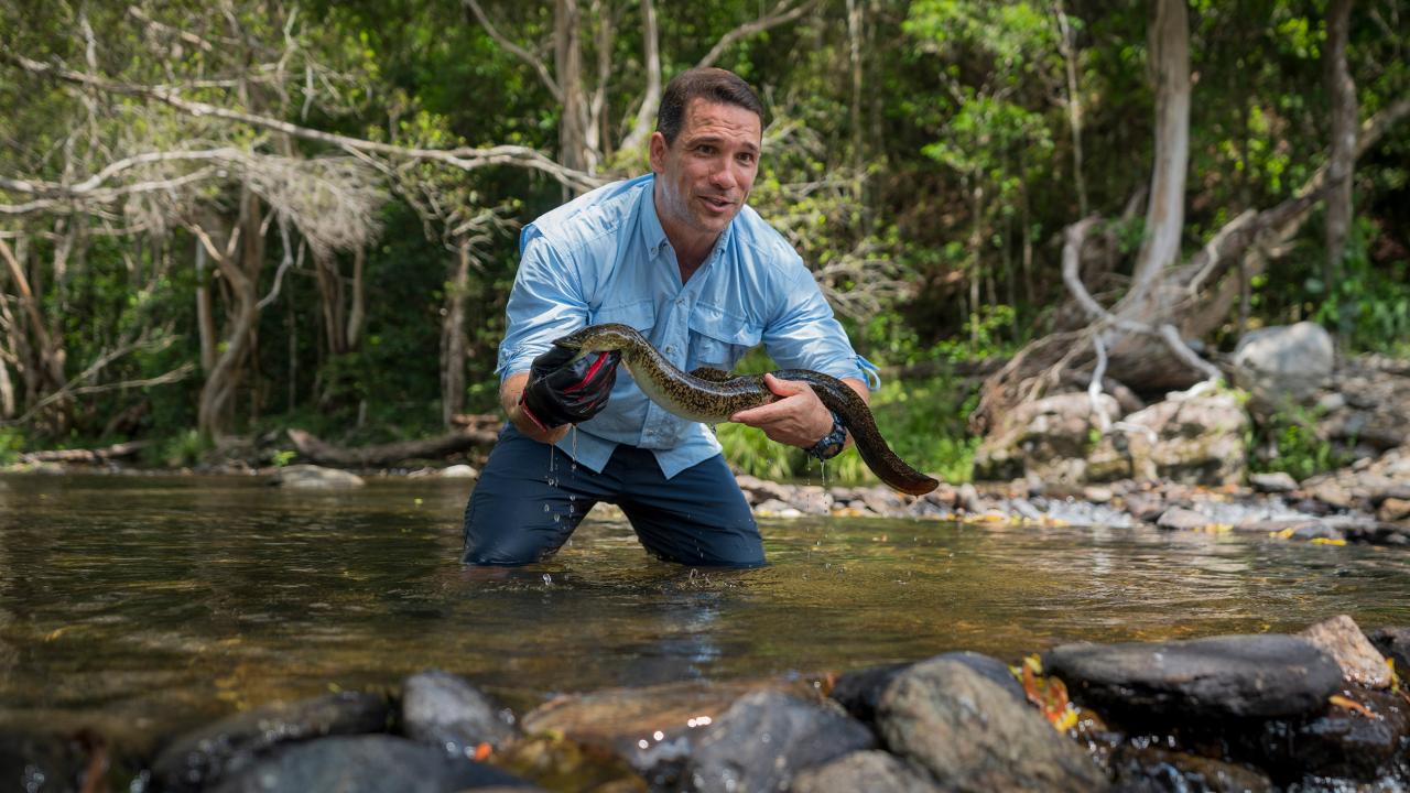 https://assets-natgeotv.techops.disn.io/Shows/92499.jpg