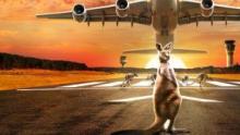 Inside Melbourne Airport show