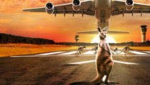Inside Melbourne Airport show