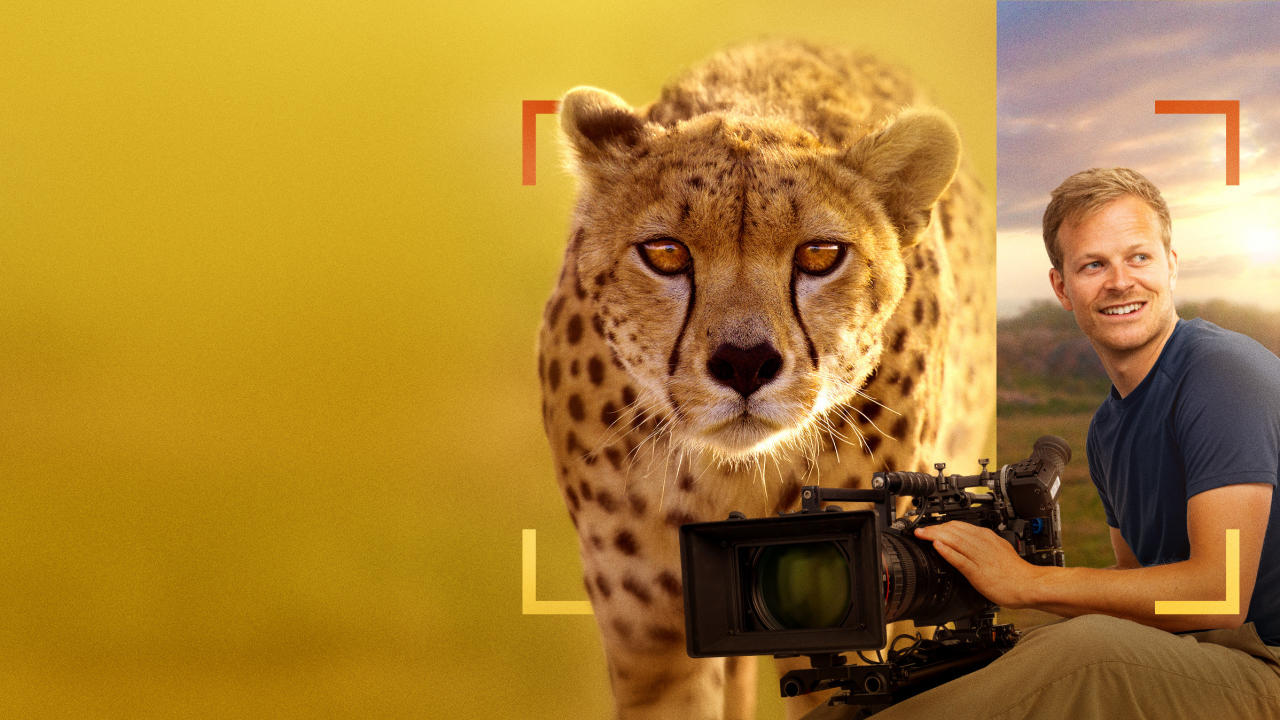 https://assets-natgeotv.techops.disn.io/Shows/92600.jpg