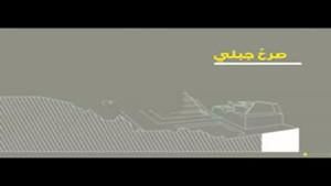 ماتشو بيتشو صورة