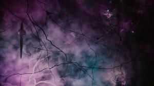 The Cosmic Connectome photo